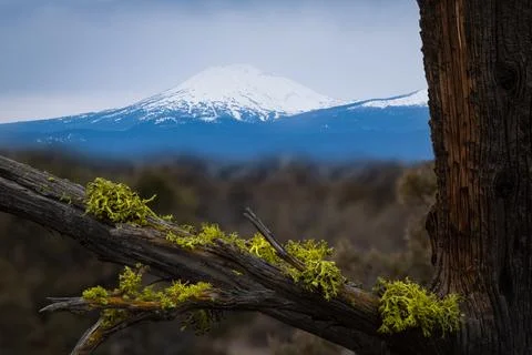 View on the Cascade mountain range from Bend Oregon Stock Photos