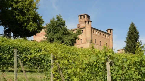 View on the Castle of Grinzane Cavour, Langhe, Cuneo, Piedmont, Italy. Stock Footage 91893338