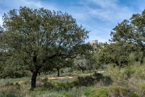 View from Castle of Monfrague, Spain Stock Photos