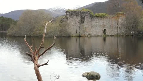 View of the Castle in the Rothiemurchus forest Stock Footage 11014838