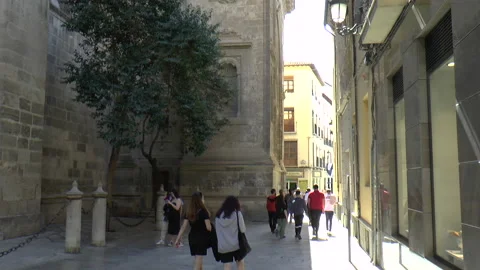 View of Cathedral Bell Tower in Granada Stock Footage 237809273