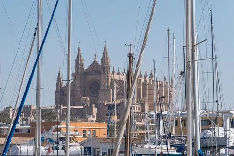 View of the cathedral in Mallorca Stock Photos