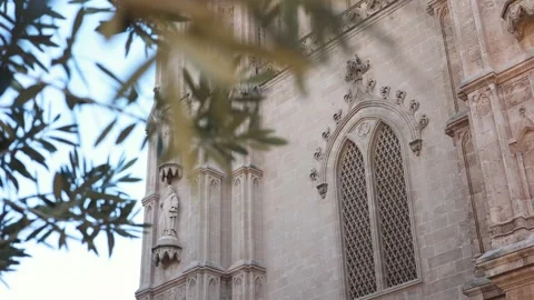 View of the cathedral palm trees wind sways tree branches ancient architecture Stock Footage 302764980