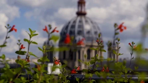View of the cathedral in Paris through flowers Stock Footage 124384723