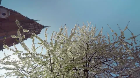 View of the Cathedral of St. John the Baptist in Wroclaw on Ostrow Tumski. 库存影片 224325857