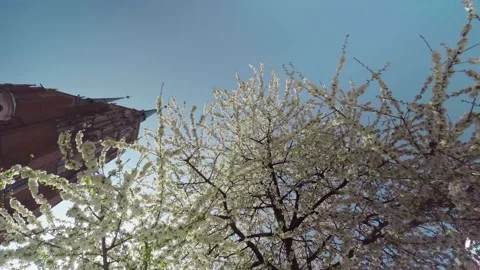 View of the Cathedral of St. John the Baptist in Wroclaw on Ostrow Tumski. 库存影片 224325859