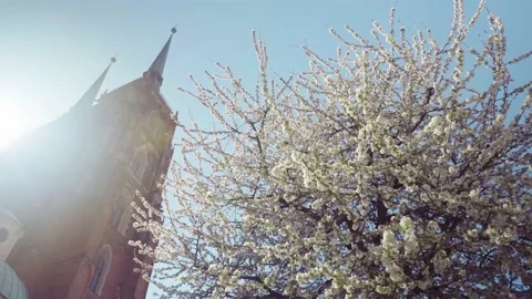 View of the Cathedral of St. John the Baptist in Wroclaw on Ostrow Tumski. 库存影片 224325881