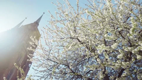View of the Cathedral of St. John the Baptist in Wroclaw on Ostrow Tumski. 库存影片 224325915