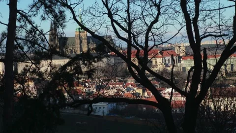 View of the Cathedral of St. through silhouettes of trees. Prague, Czech Stock Footage 264667385