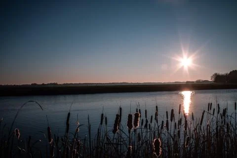 View with a cattail in the front Stock Photos