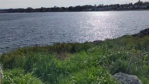 View from Cattle Point to Willow's Beach Stock Footage 190815988