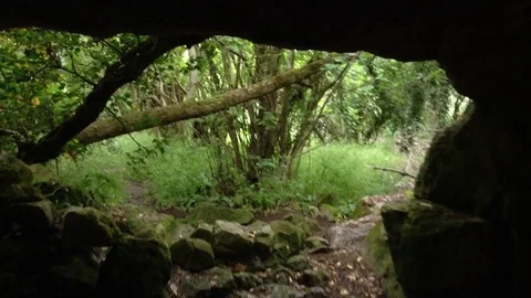 View from the cave to forest at Mangup Kale - Crimea , Russia Stock Footage 73717212