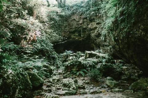 View of the cave in the jungle Stock Photos