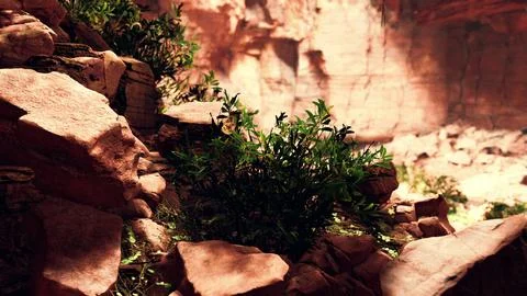 View from cave to the light 스톡 일러스트