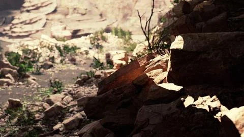 View from cave to the light 스톡 일러스트