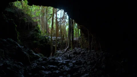 A view from the cave in rainforest. Inside Hana Lava Tubes on Maui island Hawaii Vídeo Stock 274928950