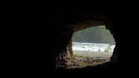 View from the cave to the river. Video stock 92939180