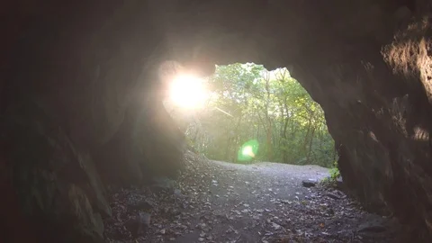 View from the cave to the sunny forest Stock Footage 95600841