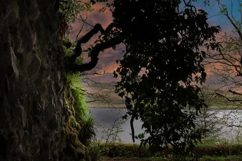 View from a cave through over hanging tree to the Sound Of Kerrera. Stock Photos