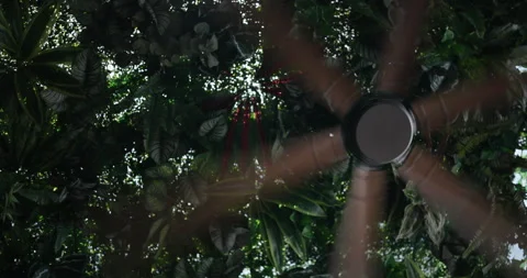 View of ceiling fan in a tropical setting with plants and greenery around it in Stock Footage 342456852