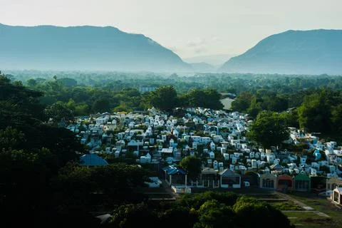 The view of cemetery 写真素材