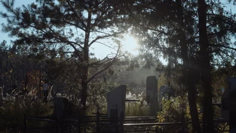 View of the cemetery on a sunny day. Grave stone and stone crosses at city cemet Video stock 253223922