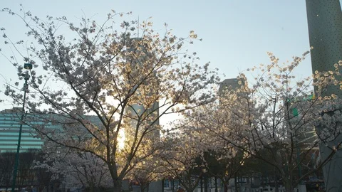 View from the Centennial Olympic Park in Atlanta Stock Footage 104940406