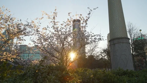 View from the Centennial Olympic Park in Atlanta Stock Footage 104940439