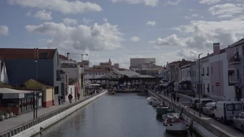 View of the Center of Aveiro Stock Footage 237910137