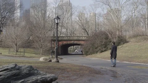 View From Central Park, New York 動画素材 71502479
