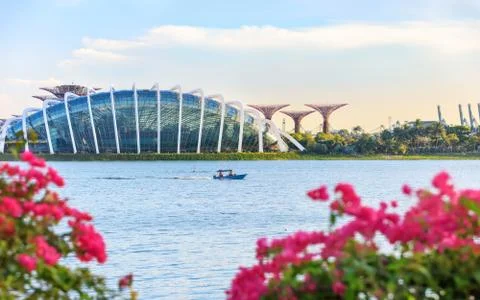View of central Singapore Stock Photos