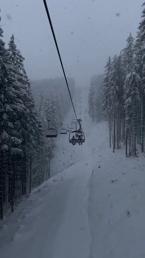 View of chair lift pine tree covered with snow ski resort Stock Footage 235426232