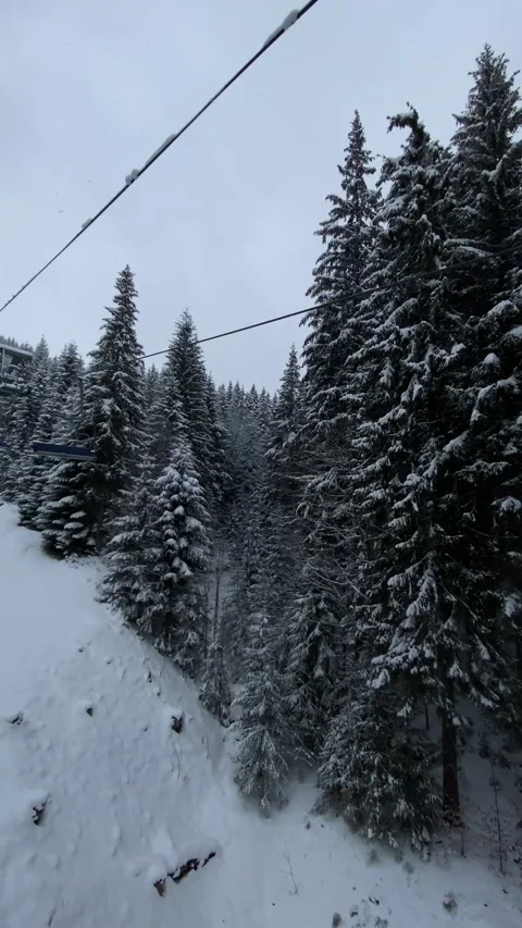 View of chair lift pine tree covered with snow ski resort Stock Footage 236624174