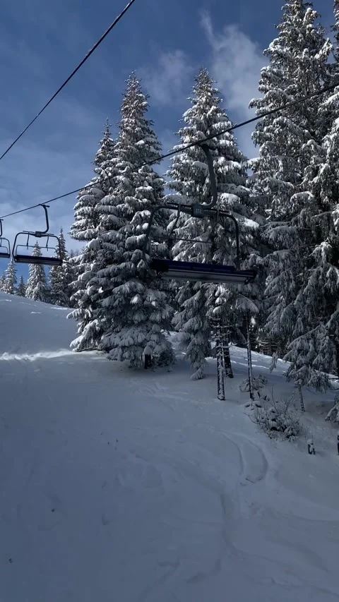 View of chair lift pine tree covered with snow ski resort Stock Footage 236624249