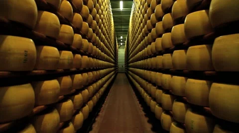View to the cheese-wheels of parmesan maturing at the cellar. Stock Footage 60111627