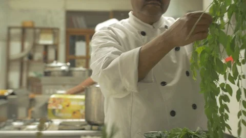 View of a chef preparing a green herbal plant Stock Footage 109208731