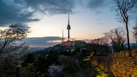 View Cherry blossom in spring and Seoul Tower best landmark Stock Footage 152523505