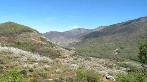 View from cherry tree plantations to higher valley Stock Footage 49652333