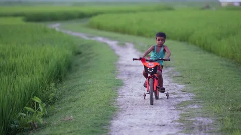 View of a child riding a bicycle through green fields, Bangladesh. Video stock 334986669