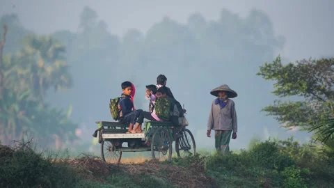 View of children on a cycle van in a misty rural area, Bangladesh. Vídeo Stock 335598033