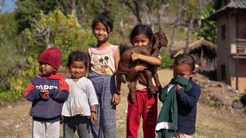 View of children holding a small goat in a rural village, Nepal. 스톡 동영상 335467730