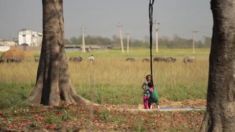 View of children playing on a rope swing under a tree, Nepal. Video stock 335476909