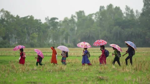 View of children with umbrellas walking through fields, Bangladesh. Video stock 335585236