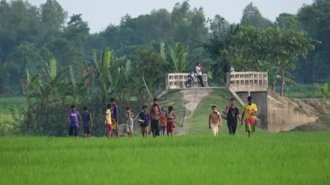 View of children walking through green fields in Bogura, Bangladesh. 스톡 동영상 334978864