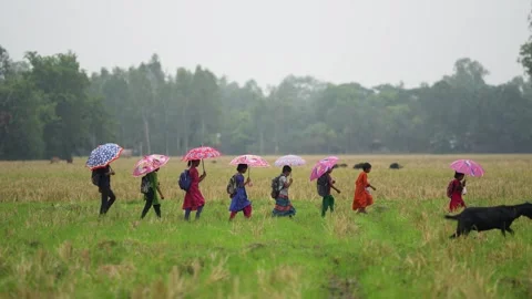 View of children walking with umbrellas in a field, Bangladesh. Video stock 335585284