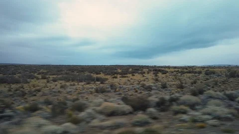 View of the chile fields from the car window. Beautiful nature of patagonia with Vidéo 129802026