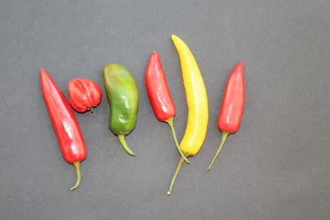 The view on chili pepper arranged in a row on the dark grey background Stock Photos