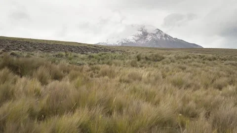 View of Chimborazo volcano with cloudy atmosphere and paramo grasslands in t Stock Footage 339347440