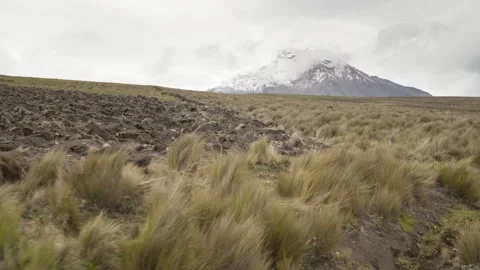 View of Chimborazo volcano with cloudy atmosphere and paramo vegetation in t Stock Footage 339347443