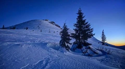 View of Chleb with snowy tree during blue hour in Mala Fatra Stock Photos